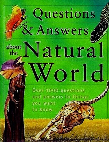 Questions answers about - questions,
