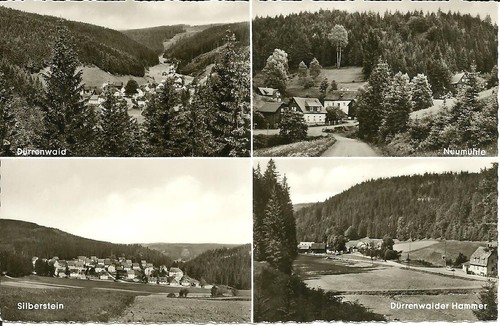 Cartolina dürrenwaid - cartolina,