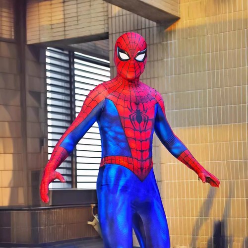 Costume spider man classics - costume, spider-man