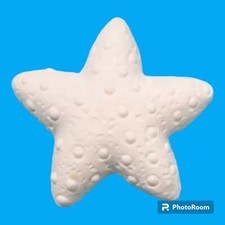 10x Gessetti Stella marina