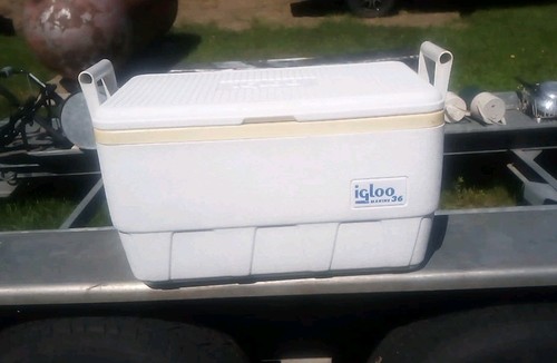 Igloo marine qt white - igloo,