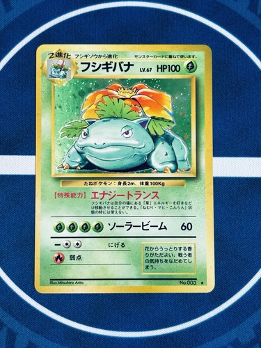 Pokemon venusaur 003 holo - venusaur,