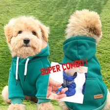 Felpina Verde + Scarpe per