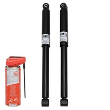 2x Ammortizzatori + Olio