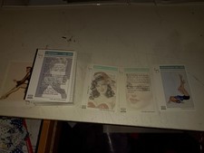 SET COMPLETO VARGAS 1/100 + PROTOTYPE E 2 HOLO CARDS PIN UP GIRLS