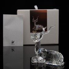 SWAROVSKI SCS Edizione Annuale