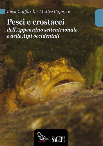 Pesci crostacei - pesci, e