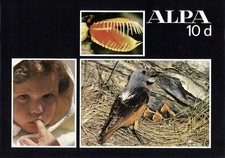 Alpa Reflex, brochure