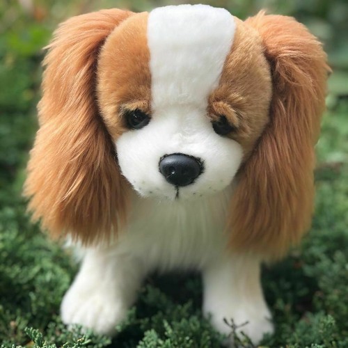 Auswella peluche cavalier king - peluche,