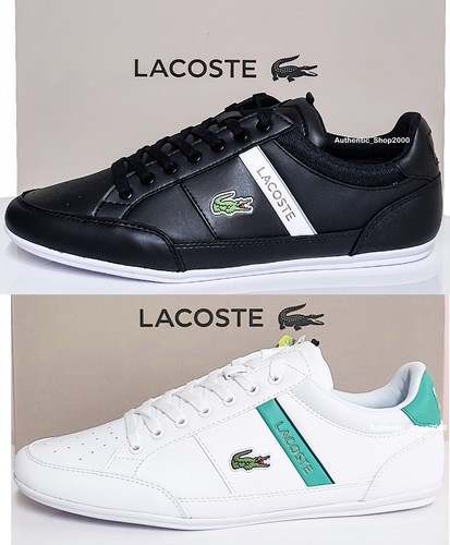Lacoste brand chaymon 0722 - lacoste,