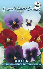 Semi seeds viola - viola, del