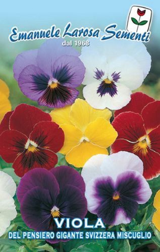 Semi seeds viola del - 80,