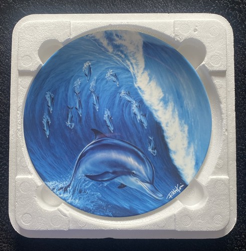 Surf school bone - surf,