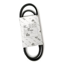 Cinghia Variatore Originale