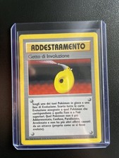 Pokemon Getto Di Involuzione