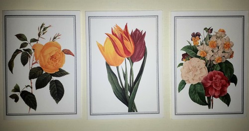 Lotto cartoline floreali fiori - cartoline,