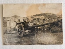 antica fotografia carro agricolo