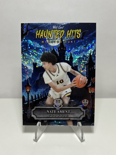 2025 wild card haunted hits - wild,