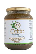 Aloe arborescens padre Romano