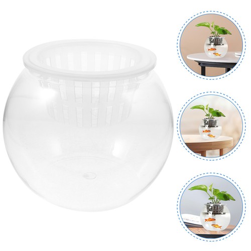 Piccola boccia per - piccola, pesci