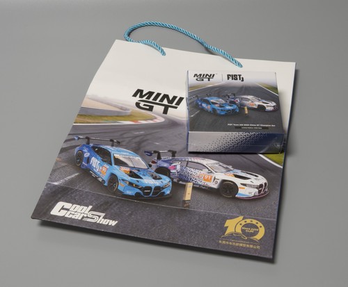 Mini bmw gt3 evo fist - gt, m4