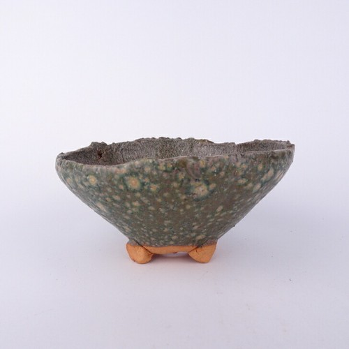 Vaso per bonsai giapponese