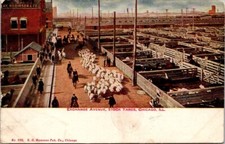 Chicago stock yards - stock,