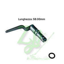 LEVA ALZAVALVOLA TESTATA