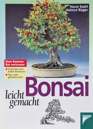Bonsai facile acciaio - bonsai,