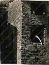 1957 MOGLIANO VENETO lavori nei campi falce attrezzi Treviso Foto Gambirasi