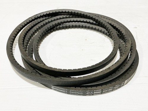 Cinghia ingranaggiata - cinghia,