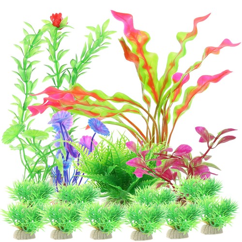 Pcs piante di - ,