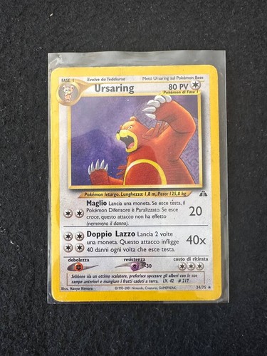 Ursaring neo discovery - ursaring,