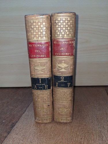 Libro antico dizionario dei - libro,