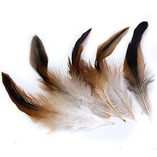 50 Pezzi Di Piume Di Gallo Di
