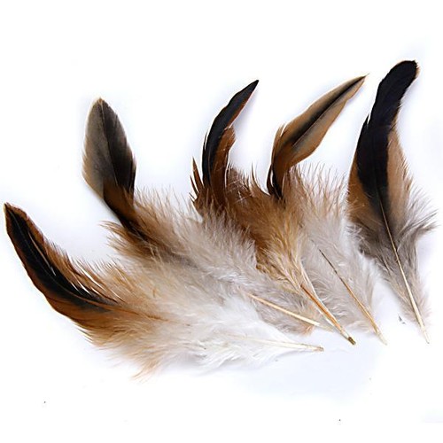 Pezzi piume gallo di - gallo,