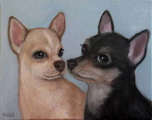 Ritratto coppia chihuahua - coppia, di