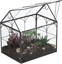 Terrario Piante, Mini Serra in