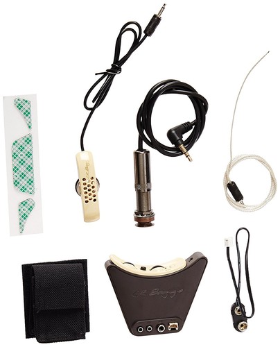 Baggs anthem tru mic - lr,