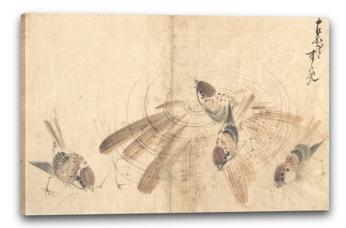 Tela cornice katsushika - tela/cornice,