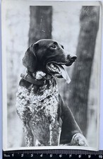 Vecchia foto originale