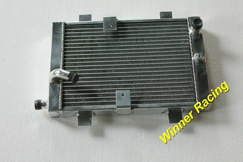 Radiator for honda silver wing - radiator,
