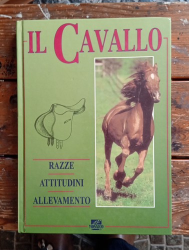 Jane kidd cavallo razze - jane,