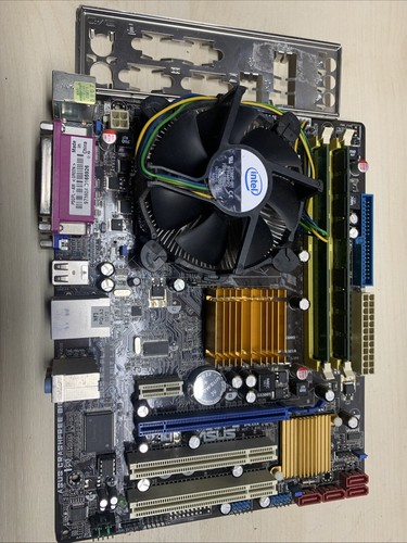 Scheda madre asus - scheda,