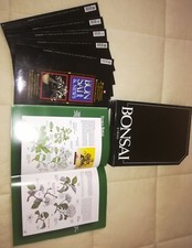 BONSAI & NEWS RIVISTE 5 pz