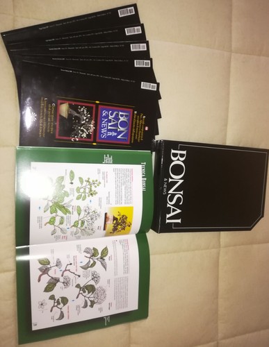 Bonsai news riviste 5 pz - riviste,