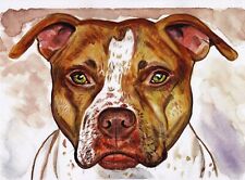 Stampa acquerello cane American Pitt Bull terrier idea regalo 