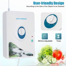 600mg/h 220V Generatore di