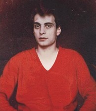 Rudolf Stingel by Francesco Bonami: Used