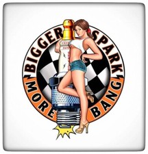 ADESIVO IN VINILE "PIN-UP
